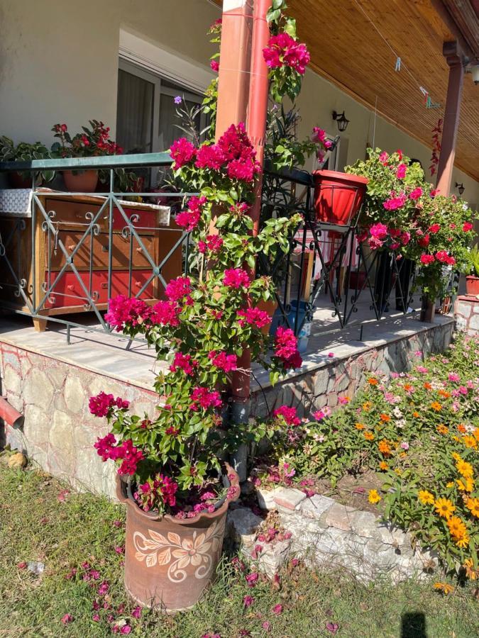 Agapi Otel Órma Dış mekan fotoğraf